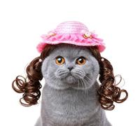 manhegari Puppy Hat | Cute Funny Costume with Curly Wig | Breathable Hats for Cats - for Birthday Party Christmas Winter Sun Beach Cosplay