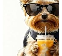 manhegari Vent Clips Air Freshener,2D Acrylic Cute Dog Shape Solid Fragrance - Cute Dog Shape Car Fragrance - for Workplace, Interior, Home, Truck, Trailer, SUV