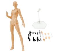 Manikin Action Figure Model, 15cm Blank Human Body Action Figures with Stand Support ＆ Accessories, Artists Drawing Mannequin for Sketching, Painting (Female)