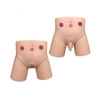 Manikin Anatomy Model Catheterization Model Male And Female Interchangeable Puncture Model Nursing Practice Catheterizat