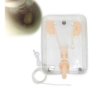 Manikin Anatomy Model, Ureteroscopy Simulation Training Model, Silicone Kidney Model, Urinary Organ Model, Doctors Office Educational Tool, Urinary Endoscopy, for Nurse, Students Training Practice Use