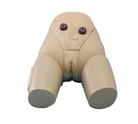 Manikin Teaching Model - Female Urethral Catheterization Teaching Model - Medical Practice Training Model Medical Healthcare Model - for Education And Teaching Research