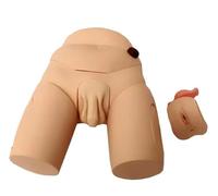 Manikin Teaching Model - Male/Female Catheterization Training Simulator Interchangeable Catheterization Mannequin - Reproductive System Anatomy Nursing