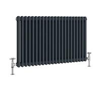 Manissa 2 Column Anthracite Traditional Radiator 600mm H x 1164mm W