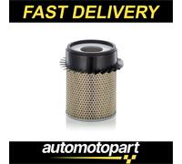 Mann Air Filter C21317 4660393 4660455 587586 70244728 A830X9601AFA OE Quality