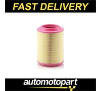 Air Filter C25660/2 Mann 42471161 42553256 Genuine Top Quality Guaranteed New