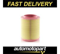 Mann Filter Air Filter C 32 004 - Cartridge for IVECO X-WAY 11.118 (2019)