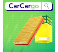 Mann Air Filter 502580219