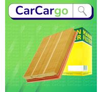 MANN-FILTER Air Filter Insert C 33 189 - Fits Opel, Fiat - 50×252×326 mm