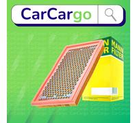 MANN-FILTER C 2966 Air Filter - for Cars + Transporters