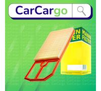 MANN-FILTER C 4287/2 Air Filter - CARS + TRANSPORTERS