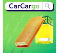 MANN-FILTER C 34 109 Air filter