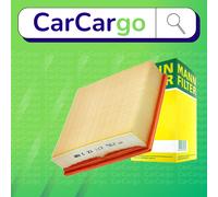 Mann Air Filter 502770049