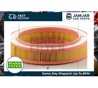 MANN-FILTER C 2540 Air Filter - for Cars + Transporters