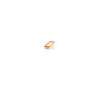 MANN-FILTER C 36 010 Air Filter - for Cars + Transporters