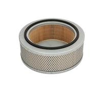Air filter Filter Insert C 22 115 MANN-FILTER