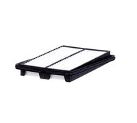 MANN-FILTER C 25 040 Air Filter - for Cars + Transporters