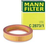 MANN-FILTER Air Filter C 2873/1 for Cars and Transporters, Fits VW/SEAT/SKODA
