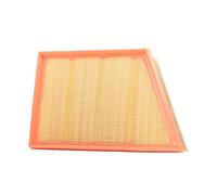 Air filter Filter Insert C 29 006 MANN-FILTER for LAND ROVER RANGE ROVER EVOQUE