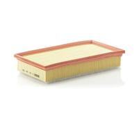 MANN-FILTER, C 29 124 Air Filter | For Passenger Cars, Clean Air Intake, Durable Filter Media, Perfect fit Design, True OE Engineering
