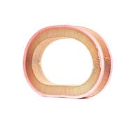 MANN-FILTER C 37 107 Air filter