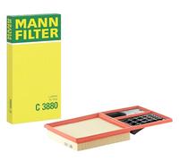 MANN-FILTER C 3880 Air Filter - for Cars + Transporters