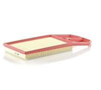 MANN-FILTER C 4287/1 Air Filter - CARS + TRANSPORTERS