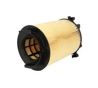 Mann Filter C14130 Air Filter, C 14 130