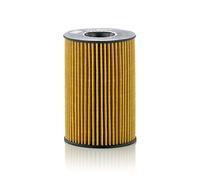 Oil Filter HU8007z MANN 11425A33C42 11425A33C43 11427583220 11427600089