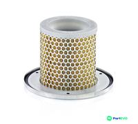 MANN-FILTER, C 1342 KIT Secondary Element