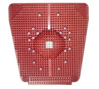 Manogyam Acupressure Mat for Pain Stress Relief, Perfect Magnets, Health Care Product(10mm) (Red)