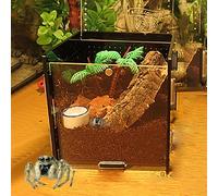 MANON ROSA Jumping Spider Enclosure - Acrylic Reptile Terrarium Box Kit with Dropper Tongs Ecological Habitat Decor Accessories for Tarantulas Scorpions Bug Insects Mantises (Black)