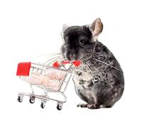MANON ROSA Parrot Toy Bird Mini Shopping Cart Small Animal Supermarket Handcart Hedgehogs Cats Mice Dutch Pigs Hamsters Rabbit Bunny Guinea Pig Lizard Chinchilla Squirrel (Red)