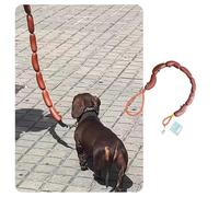 MANON ROSA Sausage Leash Hot Dog Walking Gear - Durable Rubber Wiener Hotdog Leash - Playful Pet Chew Toy for Small Dogs & Puppies, Cats & Outdoor Fun