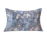 MANSPHIL Blue Grey Paisley 100% Silk Pillowcase Floral Queen Size, Vintage Printed Pattern, 22 Momme Mulberry Silk Pillow Cases Cover Zipper Closure, Hypoallergenic Beauty Care, 20"X30"
