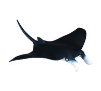 Manta Ray