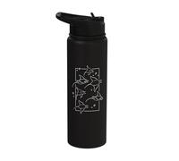 Manta Ray Devil Stingray Mobula Fish Swim in a Shoal Stainless Steel Insulated Water Bottle