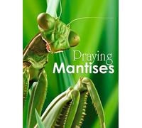 Mantises - Masters of Deception
