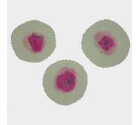 Mantles - 3 Pack One Size