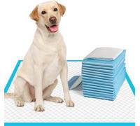 Mantraraj 100Pk Super Absorbent Puppy Training Pads Odour Locking No Leaking Dog Toilet Training Pad Floor Mat 60X60Cm