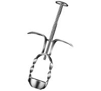 Manual Cherry Pitter and Red Date Core Remover Tool, 304 Stainless Steel Handheld Fruit Seed Remover for Home Kitchen, Portable Multi-Functional Pitting Tool Suitable (1 Pcs)