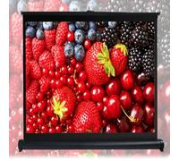 Manual projection screen - retractable, 160° wide viewing angle, protective eye shield, suitable for indoor and outdoor use,16.9,60Inch