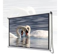 Manual Projector Screen 60 Inch, 16:9 HD Retractable Roll Down Movie Screen for Indoor and Outdoor Home Office Use