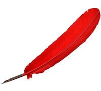 Manuscript Artists Calligraphy Quill Steel Nib Dip Pen Red