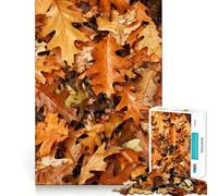 Many Autumn Leaves Ground Adult Jigsaw Puzzle1000 Pieces Decompress Game True Detail Playful Challenge Night Play (38x26cm)