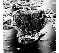 MANY BLESSINGS - EMANATION BODY - New Vinyl Record - Y600z