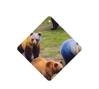 Many Colorful Bears Printing 10 Pcs Car Air Freshener Hanging Sheets Scented Hanging Sheets With Rope For Home