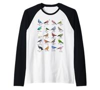 Many Different Types of Pigeons Raglan Baseball Tee
