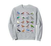 Many different types of pigeons Sweatshirt