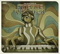 Many Faces of Stevie Wonder/Songs/Motorcity Sound